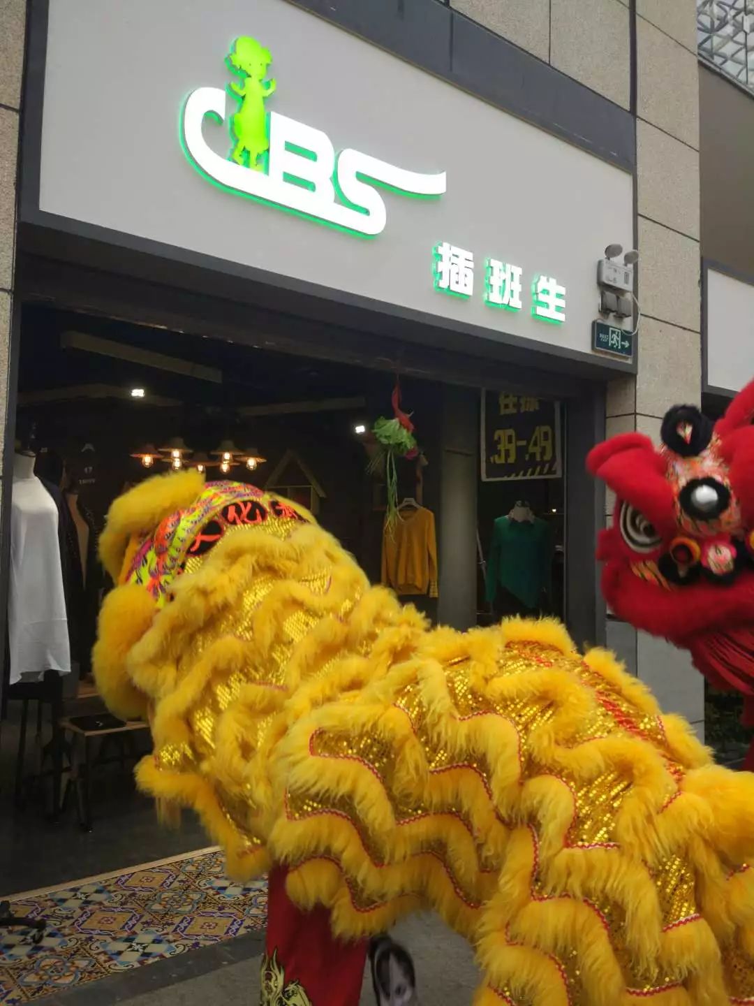完整生肖费用