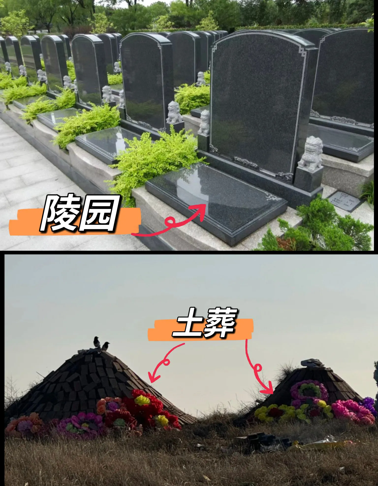 葬坟有讲究吗图片