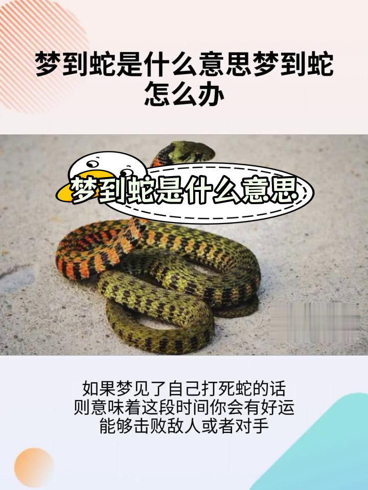 备孕的女人梦见蛇是什么预兆
