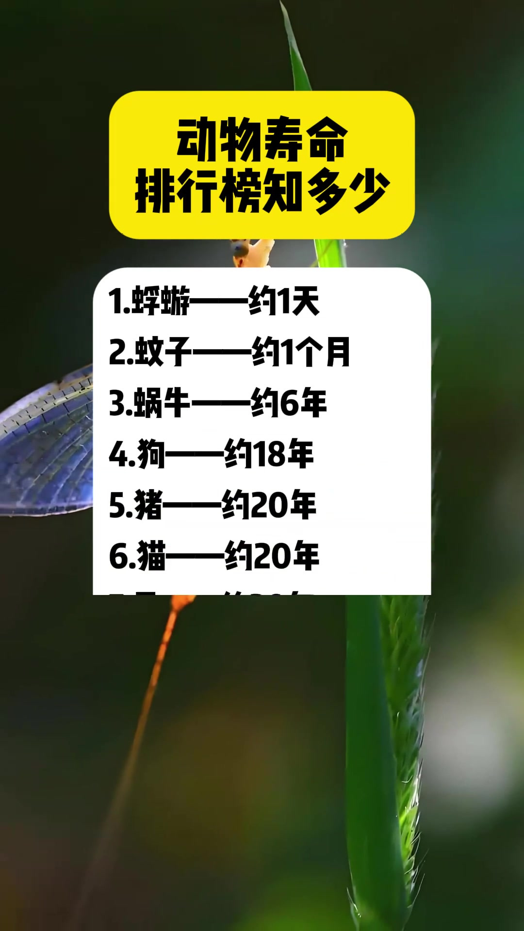 寿命最长的3个生肖