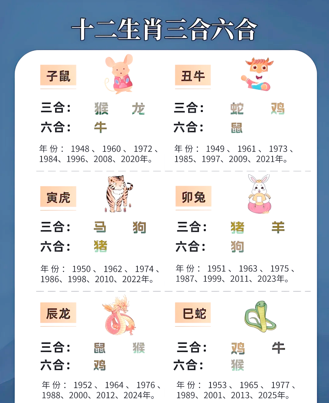 十二生肖禁忌