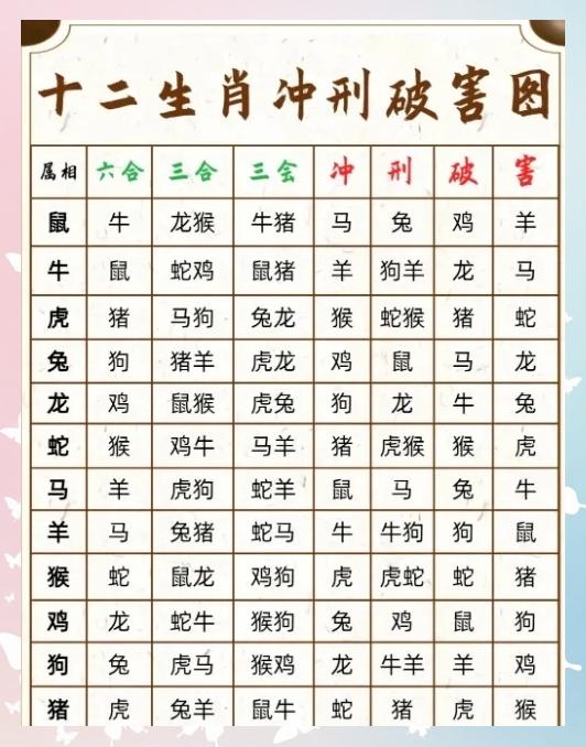 十二生肖禁忌