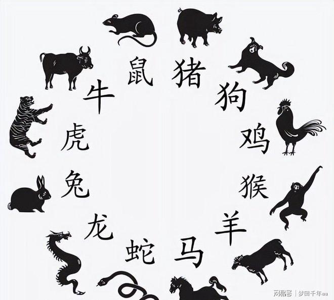 十二生肖好不好