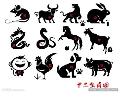 生肖配对表图片十二生肖