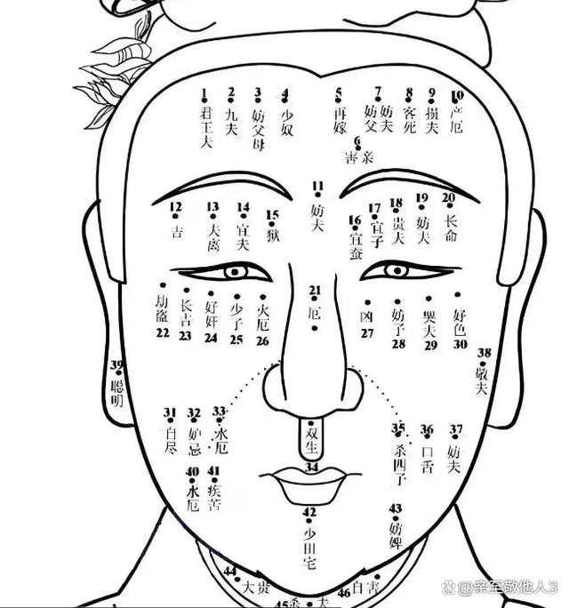 麻衣神相100条断语 麻衣神相100条断语