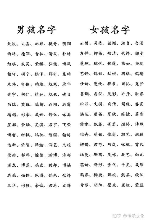名字打分在哪里查