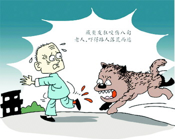 周公解梦全解查询狗咬我