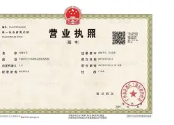 营业执照起名测试
