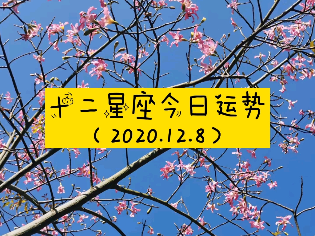 实时运势价格
