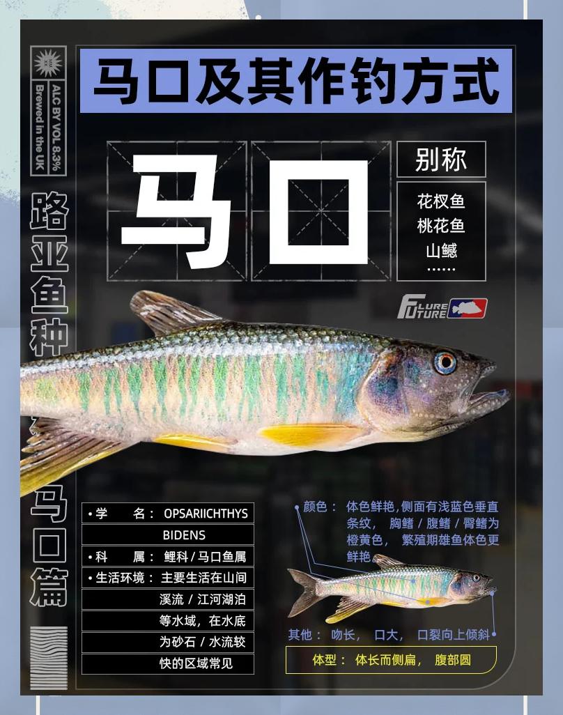 苦花鱼几月份最好钓 苦花鱼几月份最好钓