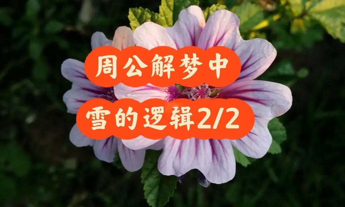 周公解梦大全查询下雪 周公解梦大全查询下雪