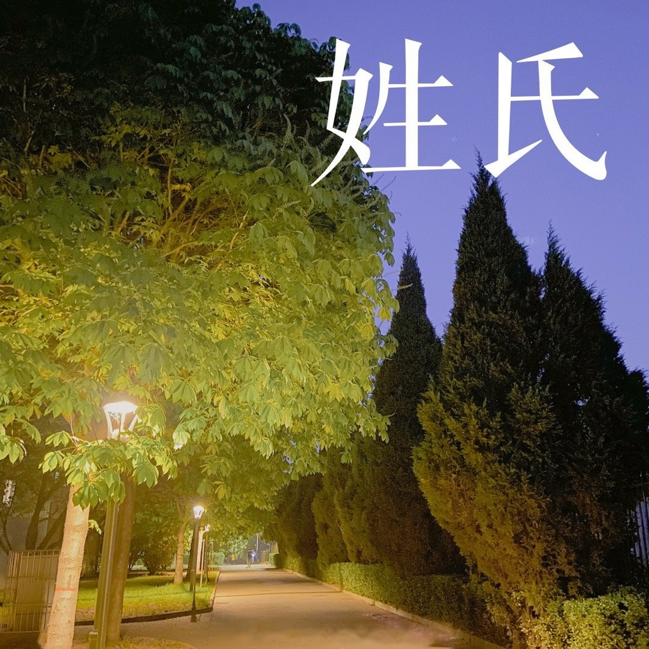 陕西稀有姓氏