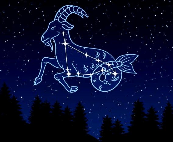 摩羯座星系图