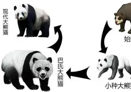 动物姓氏的由来和历史