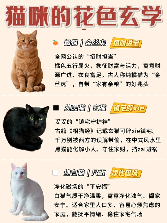 玄学风水学家里来猫预兆
