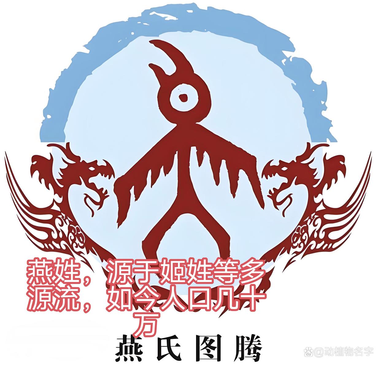 动物姓氏名字大全