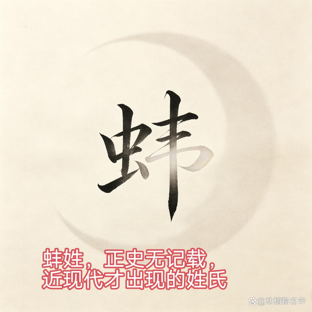 动物姓氏名字大全
