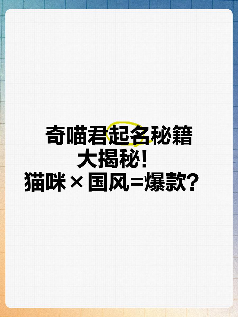 公众号起名