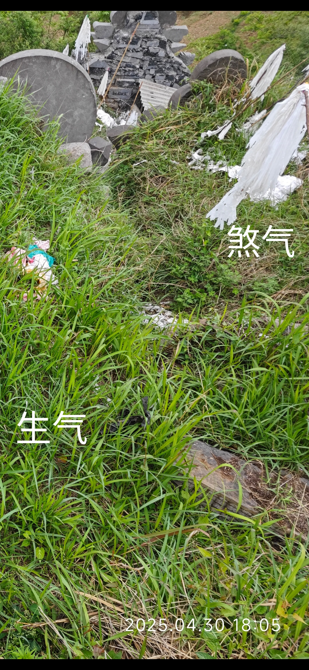 包含风水师是不是没有好下场的词条