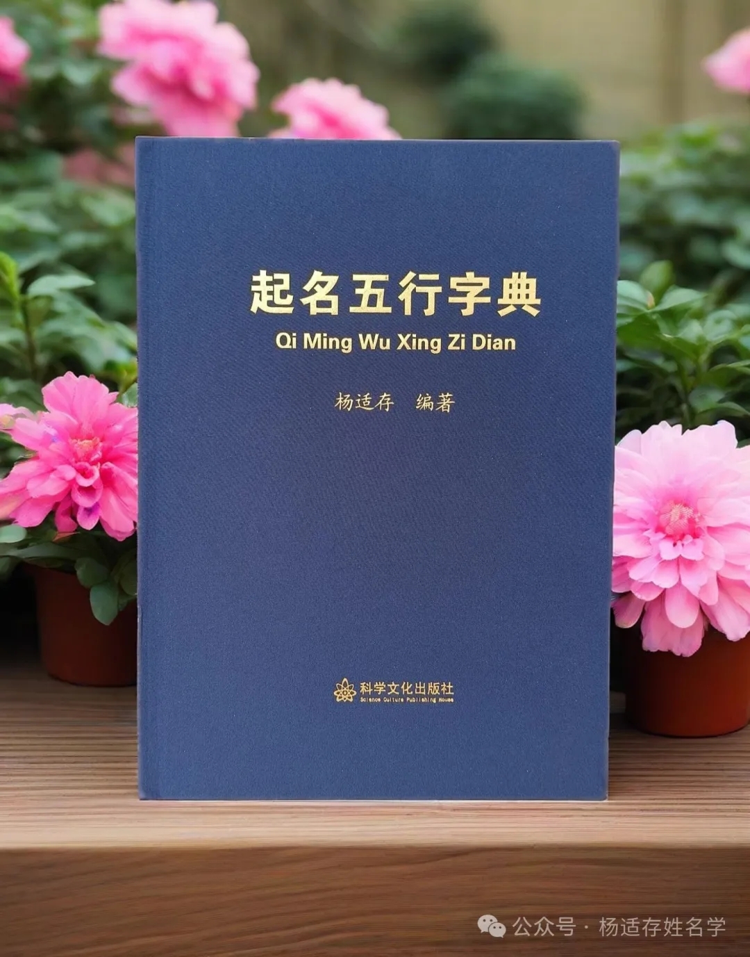 起名专用字典