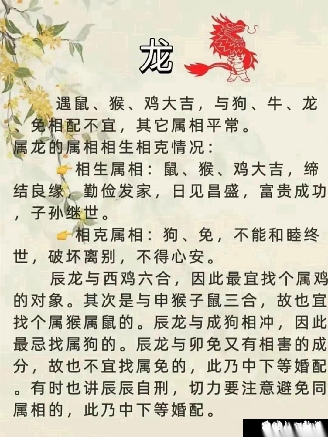 生肖马和什么生肖最配