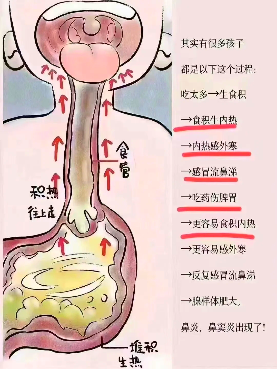 鼻炎是家里哪个方位有问题