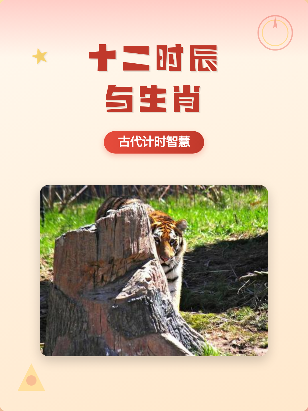 详解生肖 详解生肖