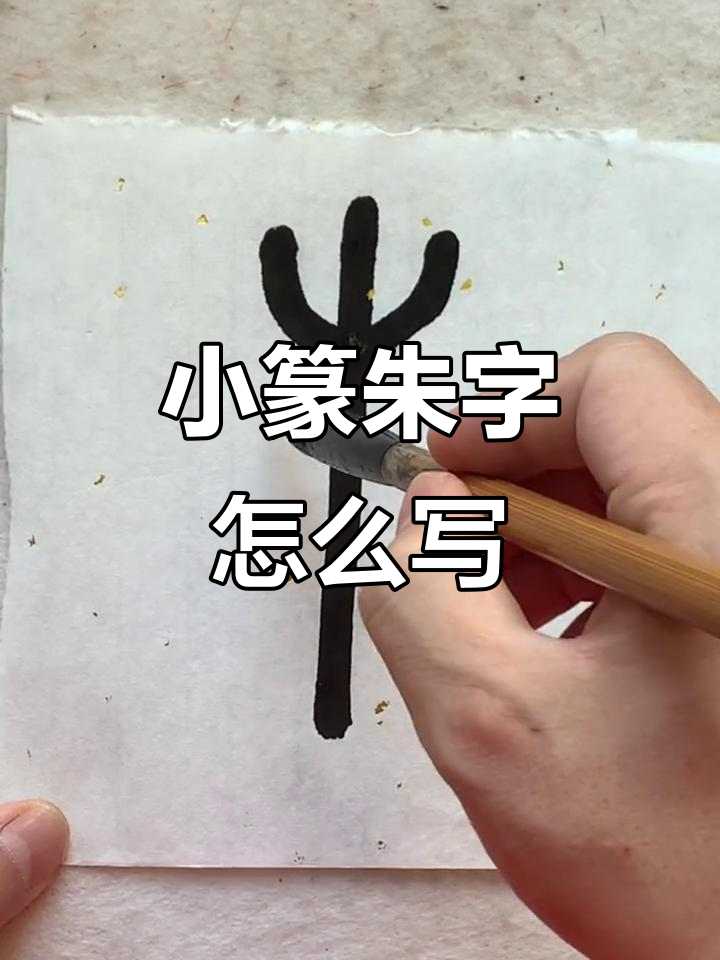 百家姓朱 百家姓朱