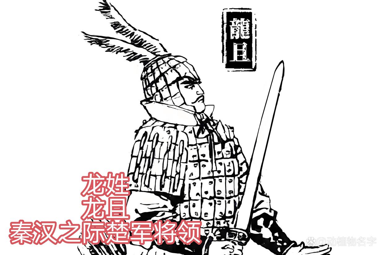 关于全国100大动物姓氏有哪些的信息