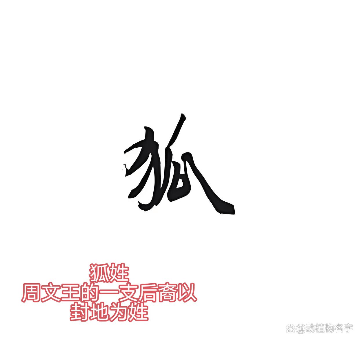 关于全国100大动物姓氏有哪些的信息 关于全国100大动物姓氏有哪些的信息