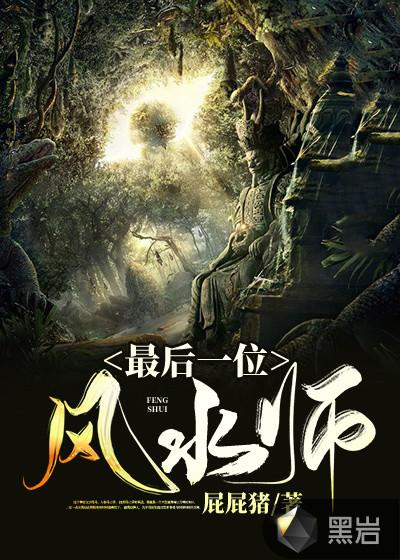 风水先生小说