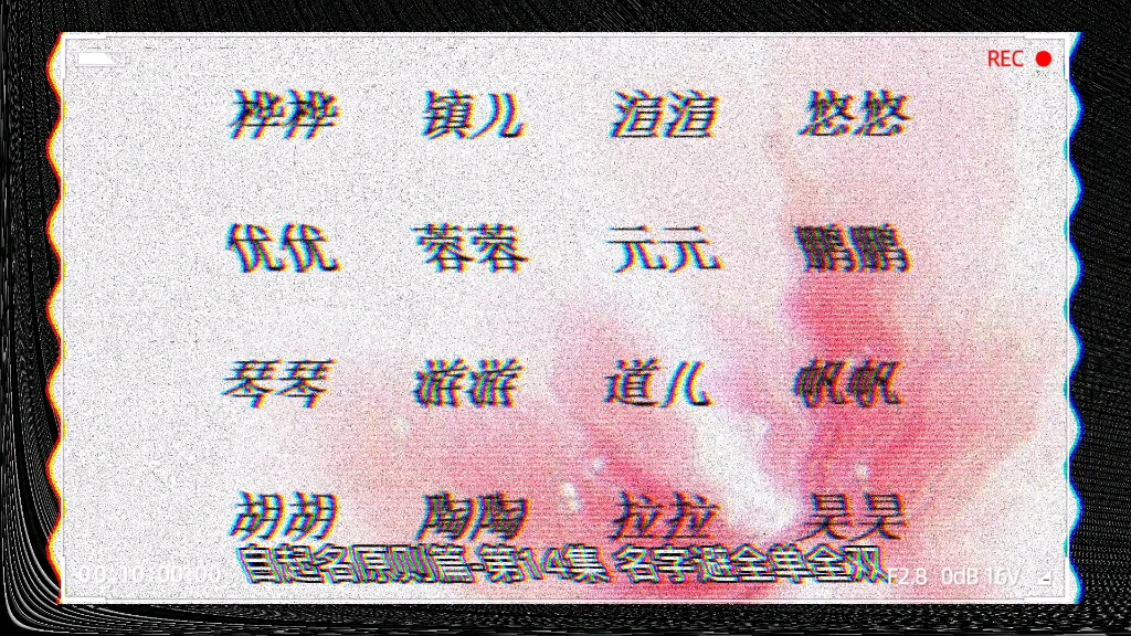 详细生肖原则