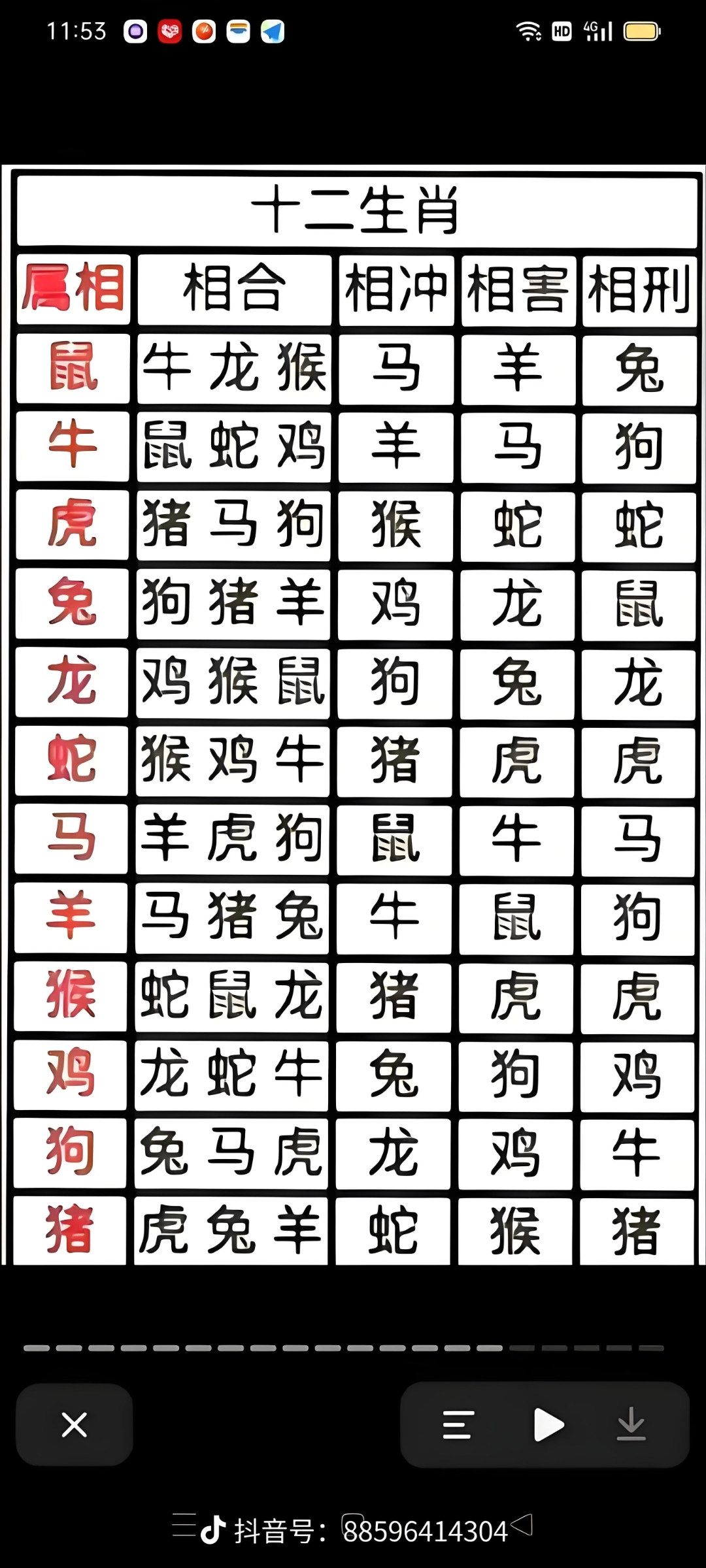 生肖配对表2024 生肖配对表2024