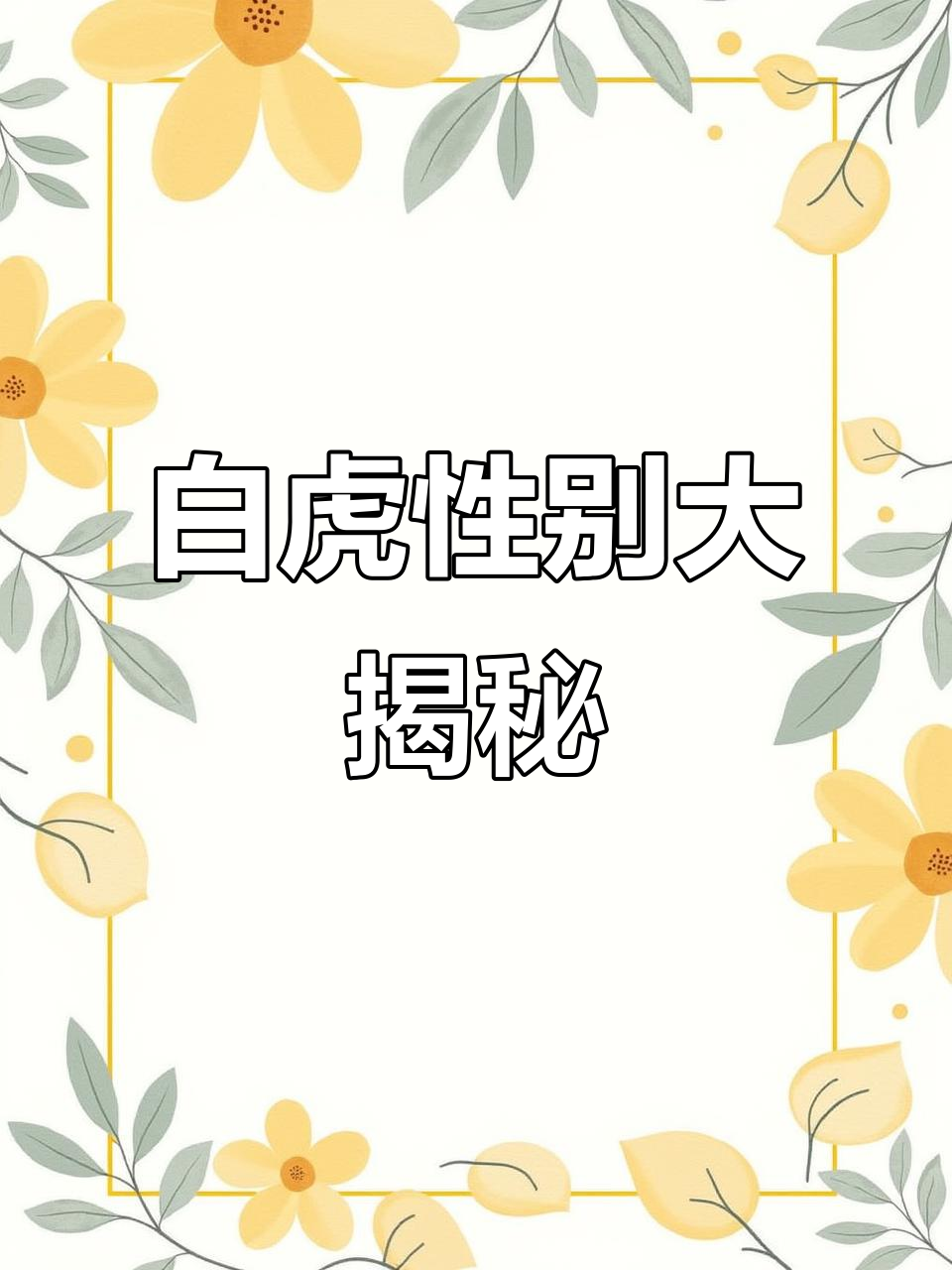 白虎是代表什么意思