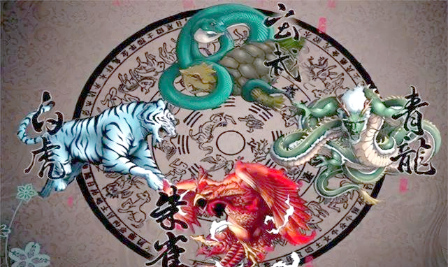 白虎是代表什么意思