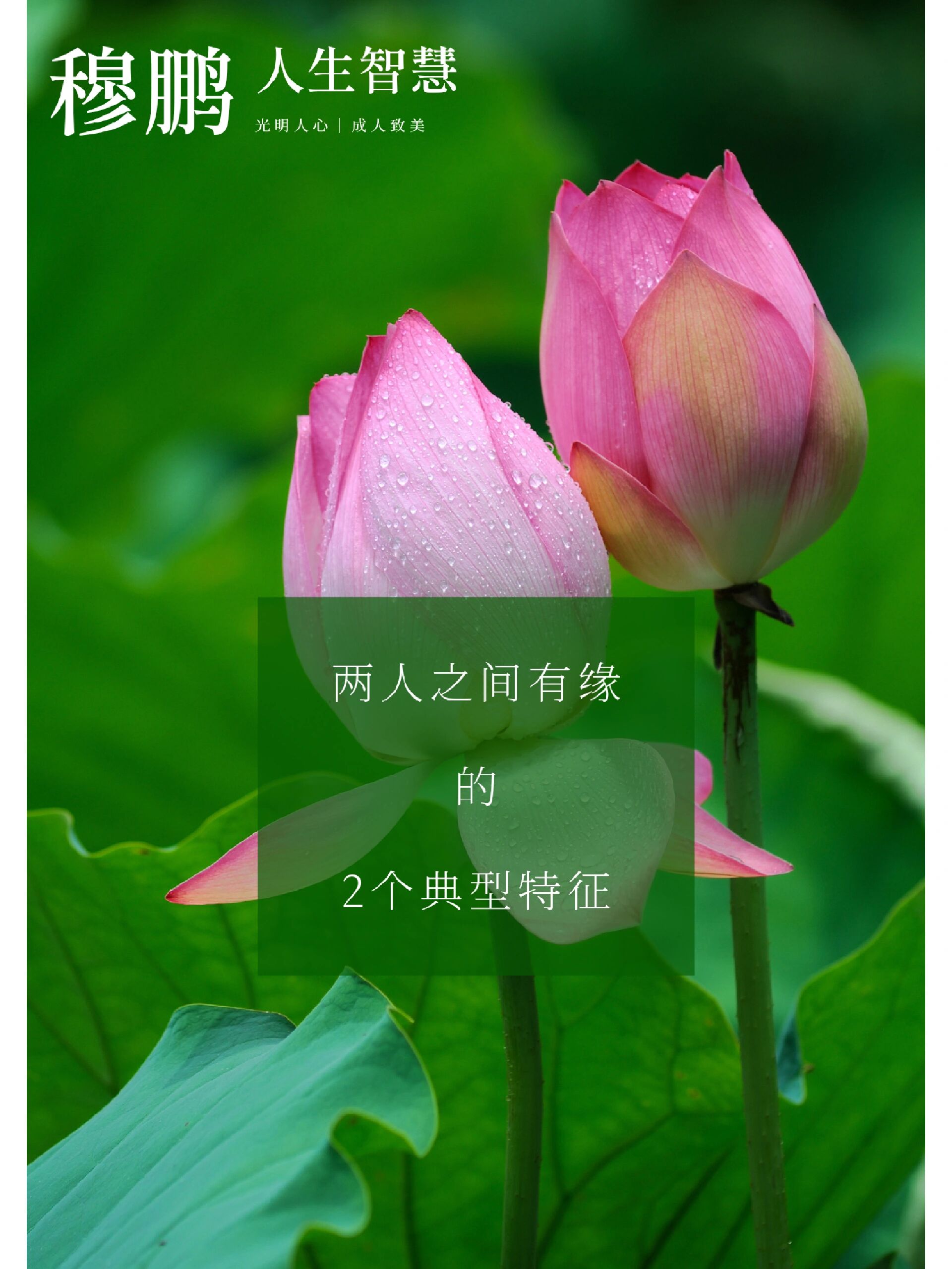 测两个人的名字是否有缘