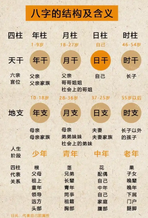八字里面的十神详解 八字里面的十神详解