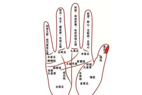 卜易居八字