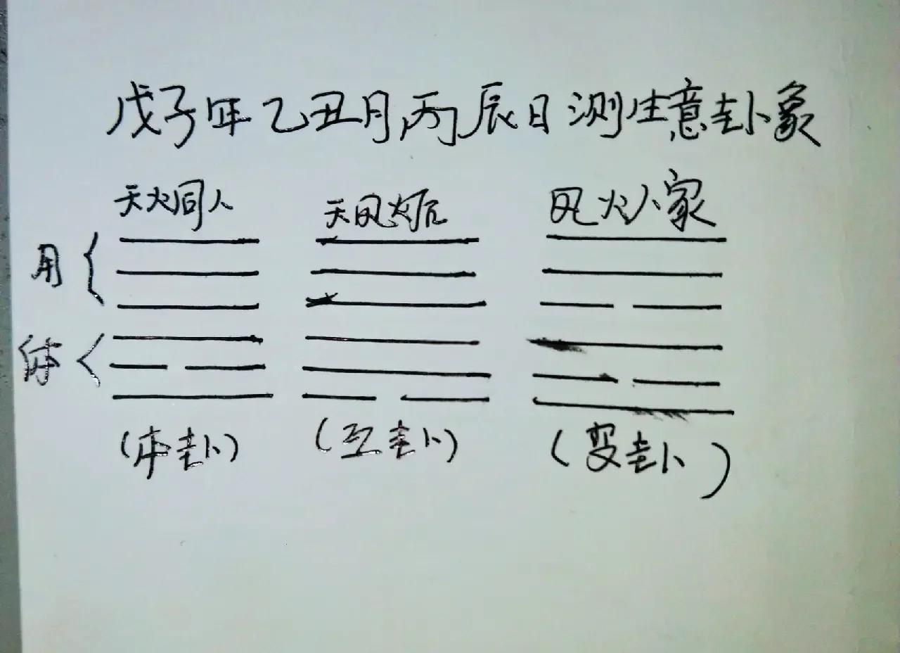 梅花易数占卜手机版