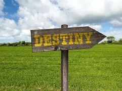 梦见死人吉凶征兆大全