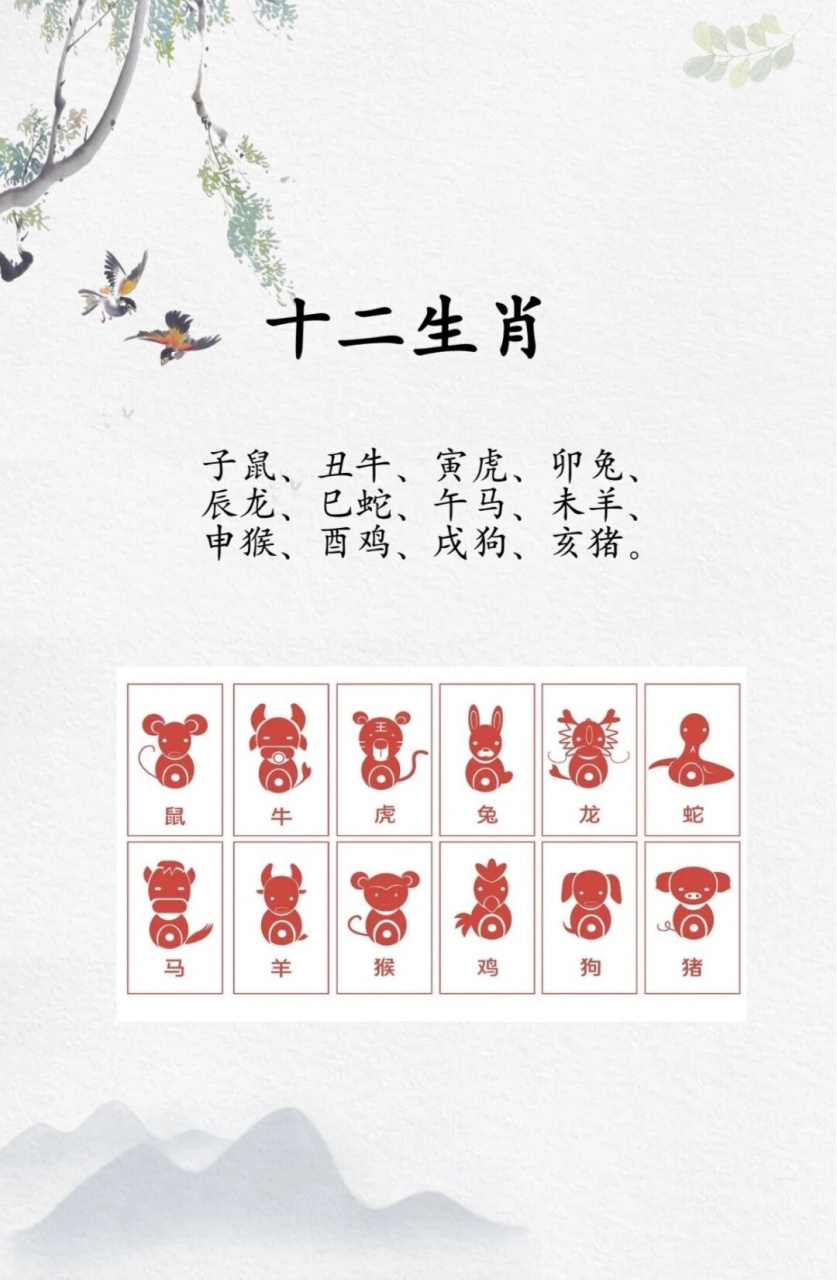 姓字是什么动物生肖