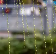 风卷杨花下下签求解事业