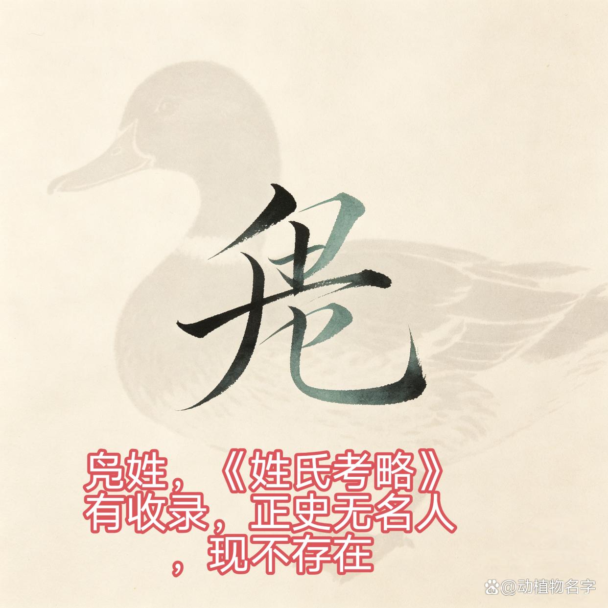 常见动物姓氏大全