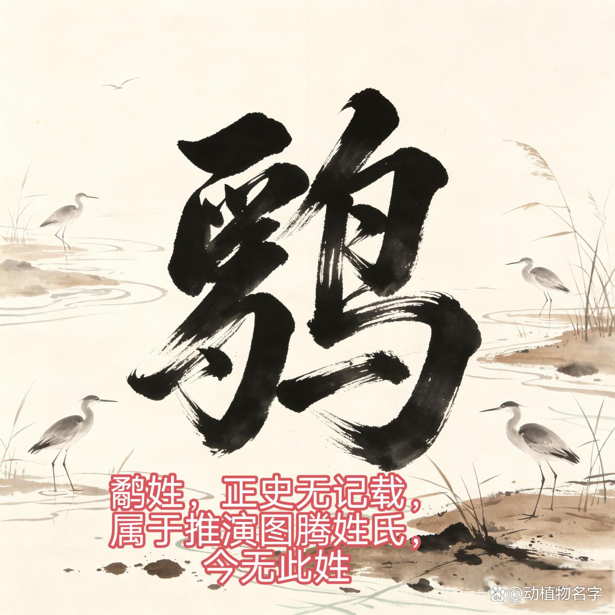 常见动物姓氏大全