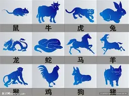 网站生肖条件