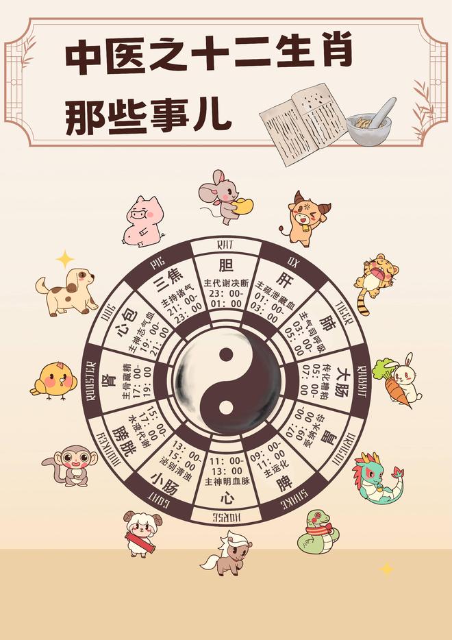 属相要点