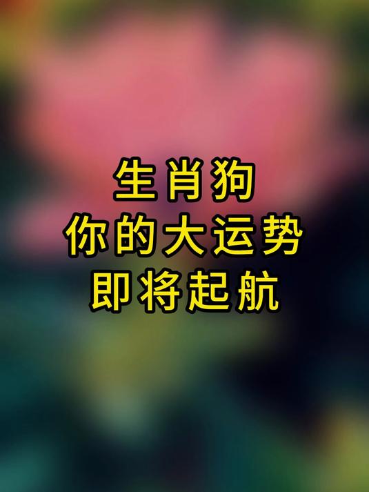 狗运势