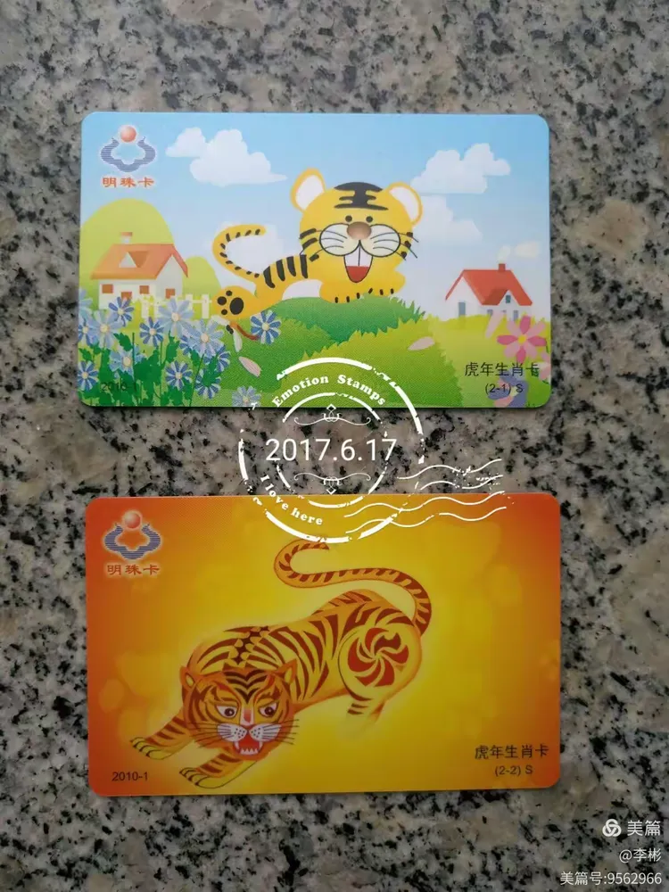大连生肖