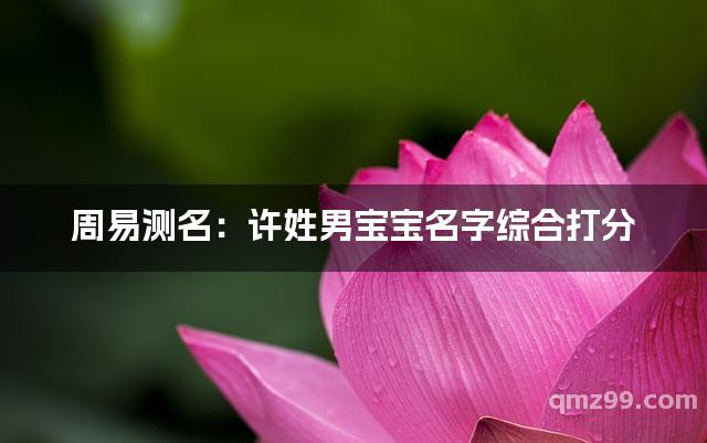 姓名测试打分100分结果的简单介绍