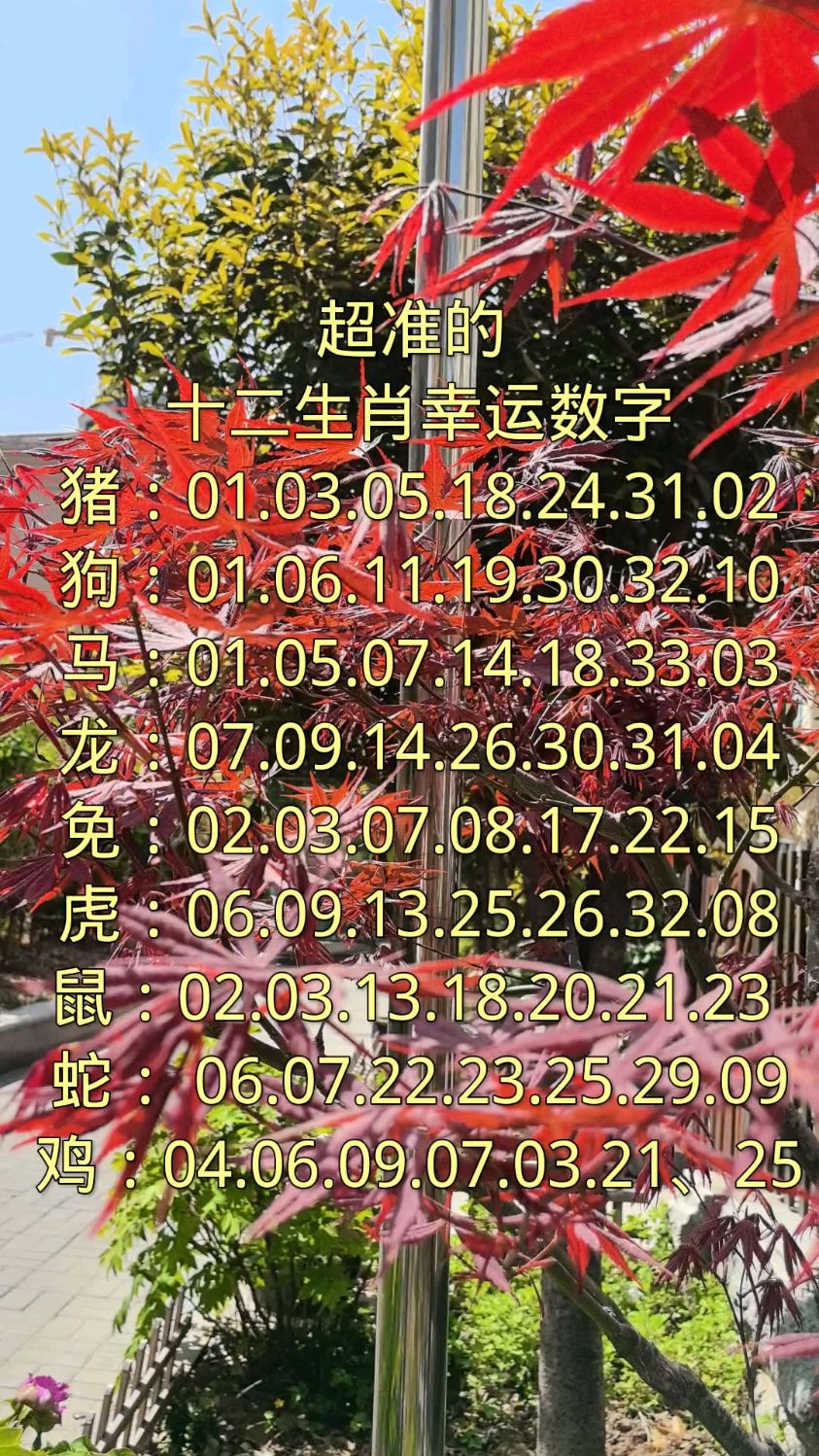 生肖神数